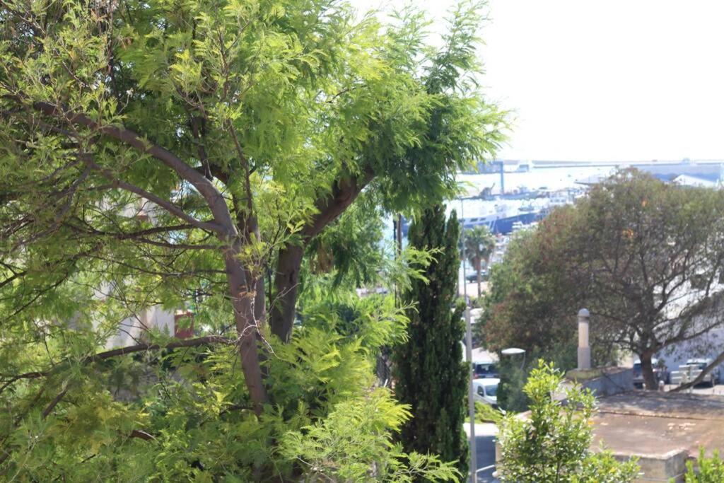 Ferienwohnung Junto Al Mar En Rosas, Puig Rom Nuevo, Wifi, Tranquilidad Exterior foto